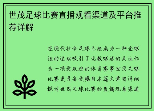 世茂足球比赛直播观看渠道及平台推荐详解